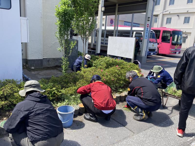 玄関周辺花壇の草取り