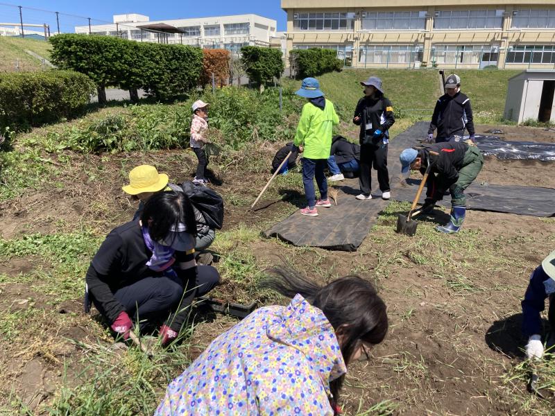 後半は畑の草取り