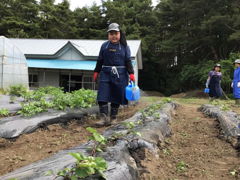畑班：水やり