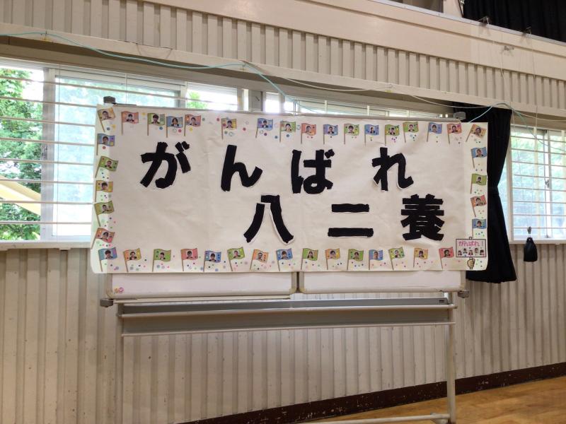 がんばれ八二養